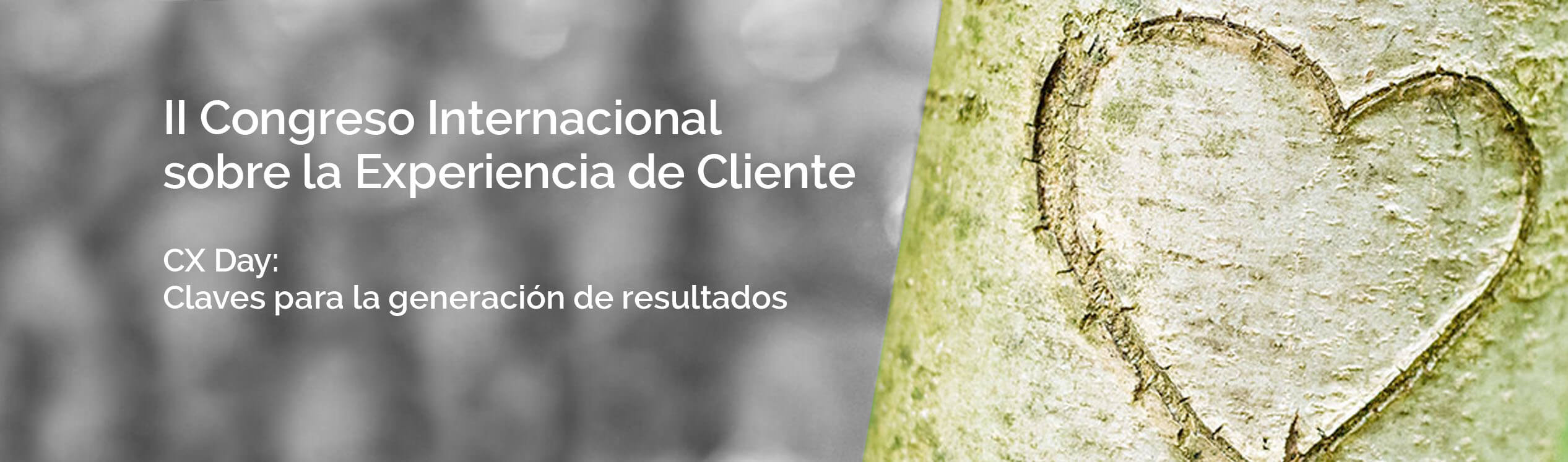 Congreso Internacional Experiencia de Cliente DEC 2014